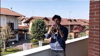 Adore you - Harry Styles (Trumpet cover)