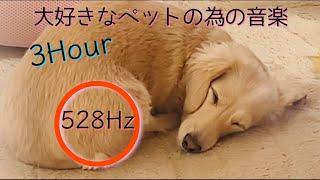 【528Hz】ペットの為の音楽　ソルフェジオ　お昼寝　お留守番　体調不良改善　安眠【3時間BGM】