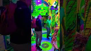 Lassota Immersive art, Fairfield Iowa