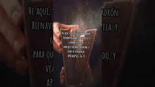 la copa de ira