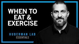 Using Science to Optimize Sleep, Learning & Metabolism | Huberman Lab Essentials