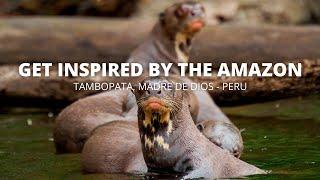 Welcome to the Peruvian Amazon Rainforest! | Tambopata