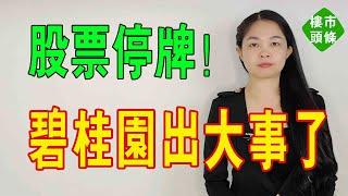 突發！財報難產、股票停牌，碧桂園董事長楊惠妍、總裁莫斌監管被，碧桂園路在何方？#碧桂園 #股票 #停牌#監管#房地產 #財報 #貸款