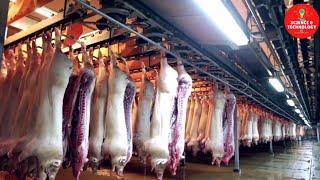 INCREDIBLE HIGH-TECH PIG SLAUGHTERHOUSE-AMAZING MODERN TECHNOLOGY PORK FACTORY PROCESSING-PIG FARM