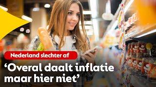 Nederlandse inflatie +3,6%: ‘In de rest van Europa daalt het cijfer'