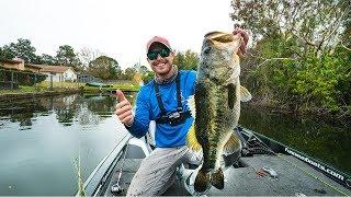 Hunting Down GIANT Florida Bass