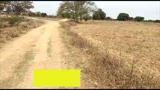 2 Acres Open Land For Sale  l Agents Adda YouTube Channel