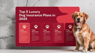 Top 5 Luxury Dog Insurance Plans in 2025 | Full Comparison & Honest Reviews