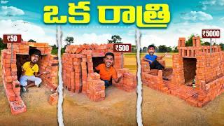 Different Bricks Houses Overnight Survival Challenge Low Budget to High Budget  Telugu Experiments