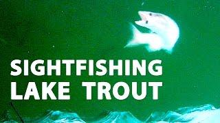 Sightfishing Lake Trout in 27 feet!!! - CLEARwater Lake, Manitoba