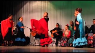 "Flamenco y Tradición" grupo Raíces danza flamenca