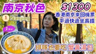 【南京旅遊】香港直飛2.5小時即到酒店+美食+景點攻略南京秋色原來好鬼靚️明孝陵.梧桐大道.夫子廟步行街