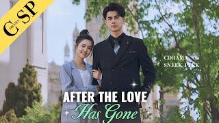 After the Love Has Gone | HOT SERIES #cdrama #kdrama #drama #dramaget