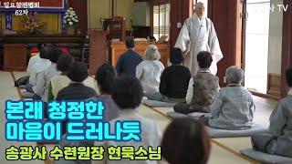 [LIVE]현묵스님 일요참선법회 62차(송광사 선덕겸 수련원장)-Hwadu Meditation Instruction