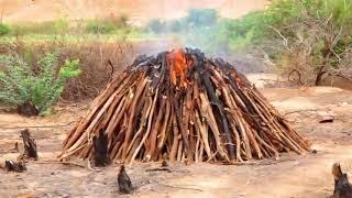 BARI"Ciidanka Boliska oo wada ka hortaga Xaalufka deegaanka ,iyagoo soo qabtay kooxo Jarayay dhirta.