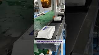 Fully Automatic Wet Wipes Tissue Packaging Machine