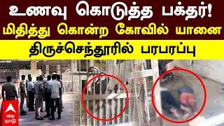 Tiruchendur Elephant Attack | உணவு கொடுத்த பக்தர்!மிதித்து கொன்ற கோவில் யானை..