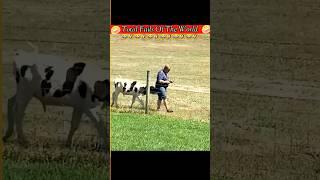 FUNNY VIDEOS COMPILATION | TOTAL IDIOTS AT WORK 2023 | FUNNY MOMENTS