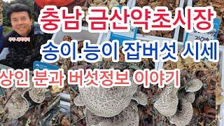 금산약초시장  가장빠른 버섯정보와버섯이야기