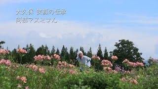 大久保 笑顔の伝承 阿部マスミさん｜長野県栄村公式観光情報サイト ～自然体で旅しよう～