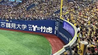 【横浜vs阪神】横浜スタジアムはチャンス襲来とわっしょいの嵐だったのに