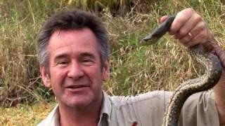 Webosaurs Preview Featuring Nigel Marven