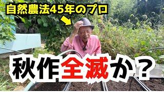 【完全に想定外です】種まきしてから10日間、発芽しません・・・