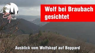 Nachrichten für Boppard