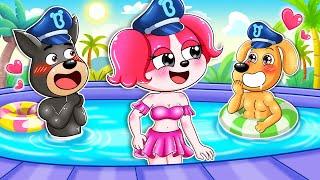 Who Will Papillon Choose? Love Triangle at the Pool! | Sheriff Labrador Animation