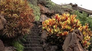 Festival de Artes Escénicas de Lanzarote |«Avalanche»