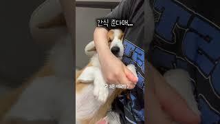 오늘의 교훈 : 발사탕을 하지말쟈