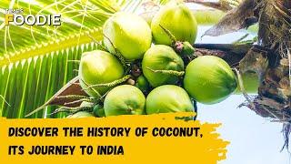 History of coconut & it's journey to India!