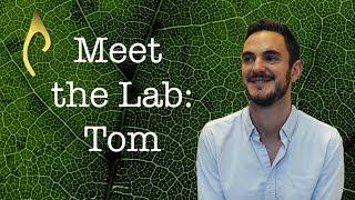 Meet the Lab – Tom Crowther