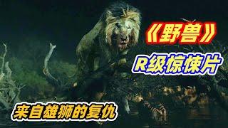 Beast丨Humans illegally hunt lions, which attracts a wild revenge from a male lion!