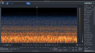 Audio Post Production: Fill and Roomtone for Dialogue Editing