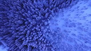 For Sightseeing Only  I The Snow Fall  Is The Amazing Beauty Of Nature From The Sky