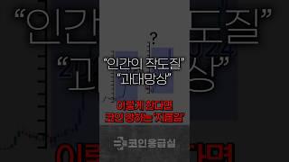 "당신이 살면서 본 적 없는 비트코인 차트분석"