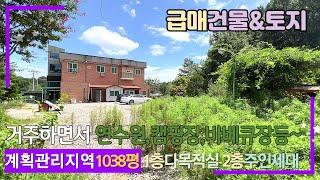 급매!! 문경, 예천시내 가까운 경치좋은 곳에 1038평 부지에 주인세대 있는 2층건물,  이모든게 이가격?? (연수원,캠핑장,바베큐장,등 다용도 활용가능)