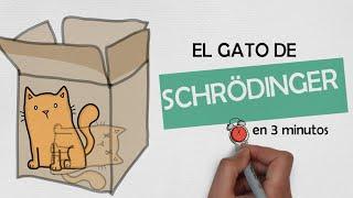  El GATO de SCHRÖDINGER en 3 minutos: explicación sencilla | FÍSICA FÁCIL