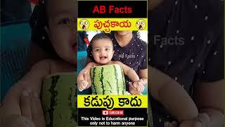 పుచ్చకాయ Watermelon art on mothers womb #telugufacts #baby #facts #shorts #youtubeshorts #abfacts