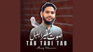 Tab Tabi Tab (صوت سفیر البلبل)