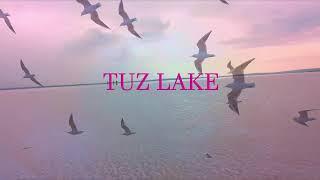 Tuz  Lake