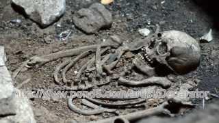 Human bones grave skeleton / Professional stock video footage