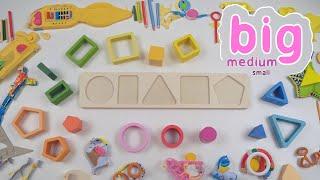 Learn Shapes and Sizes for Kids | Identify Big, Medium, and Small Objects