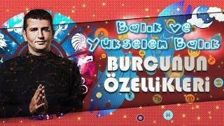 BALIK ve Yükselen BALIK Burcunun Genel Özellikleri Nelerdir?