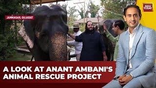 LIVE: Anant Ambani's Animal Rescue Mission Unveiled on Jab We Met With Rahul Kanwal | India Today