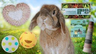 The BEST Enrichment Toy for Your Rabbit