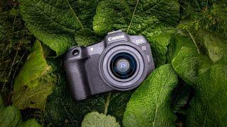 7 Best Budget Mirrorless Cameras In 2025