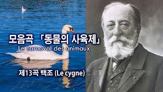 생상스(Saint-Saëns) - 제13곡 백조 (모음곡 「동물의 사육제」 중에서) / 13. Le cygne from "Le carnaval des animaux"