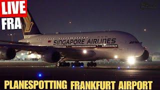 Live Late Night Raining Planespotting Frankfurt Airport